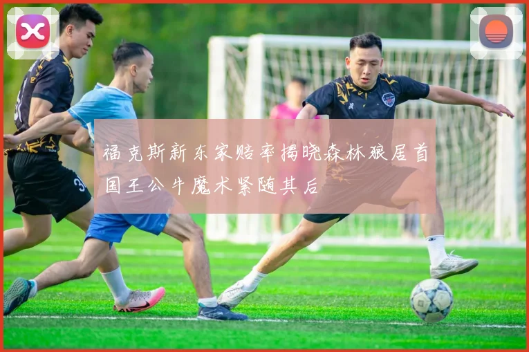 福克斯新东家赔率揭晓森林狼居首国王公牛魔术紧随其后
