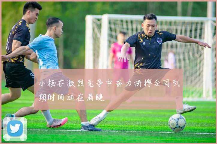 小杨在激烈竞争中奋力拼搏合同到期时间迫在眉睫